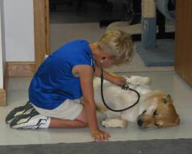 A dog getting a routine exam at Heart Mountain Animal Health