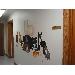 Heart Mountain Animal Health hospital interior — photo 5